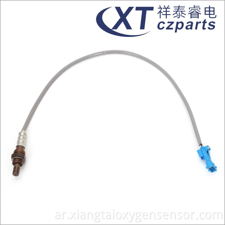 Oxygen Sensor